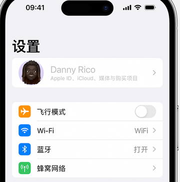 二道appleID维修服务iPhone设置中Apple ID显示为灰色无法使用 