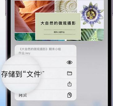 二道apple维修中心分享iPhone文件应用中存储和找到下载文件