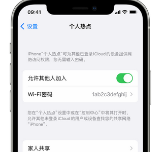 二道apple服务站点分享iPhone上个人热点丢失了怎么办 