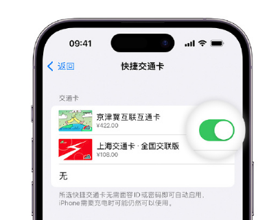 二道apple维修点分享iPhone上更换Apple Pay快捷交通卡手绘卡面 