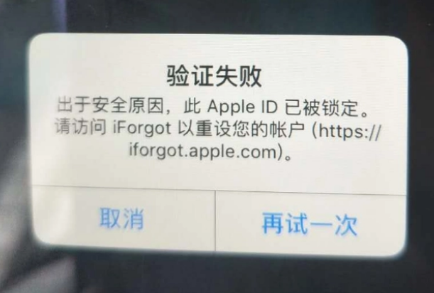 二道iPhone维修分享iPhone上正常登录或使用AppleID怎么办 