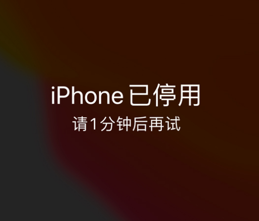 二道苹果手机维修分享:iPhone 显示“不可用”或“已停用”怎么办？还能保留数据吗？ 