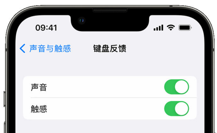 二道苹果手机维修分享iPhone 14触感键盘使用方法 