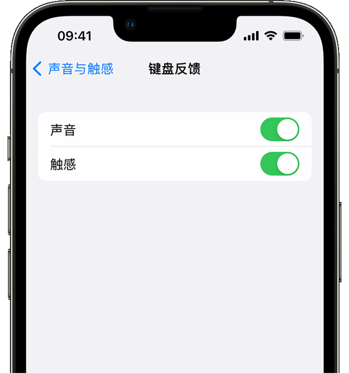 二道苹果14维修店分享如何在 iPhone 14 机型中使用触感键盘 