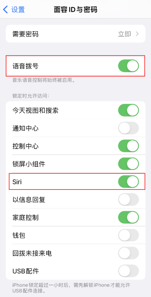 二道苹果维修网点分享不解锁 iPhone 的情况下通过 Siri 拨打电话的方法 