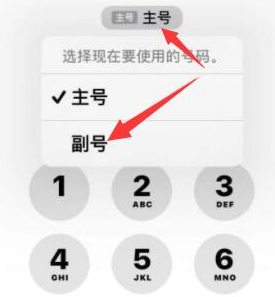 二道苹果14维修店分享iPhone 14 Pro Max使用副卡打电话的方法 