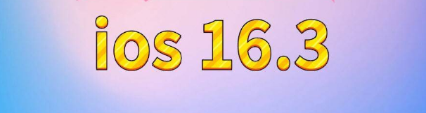 二道苹果服务网点分享苹果iOS16.3升级反馈汇总 