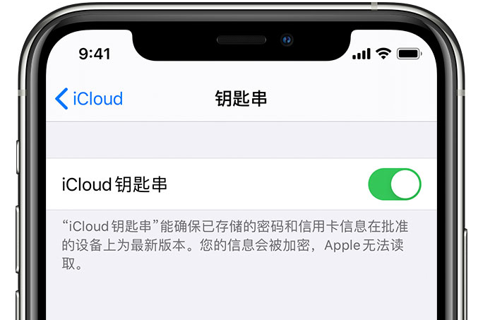 二道苹果手机维修分享在 iPhone 上开启 iCloud 钥匙串之后会储存哪些信息 