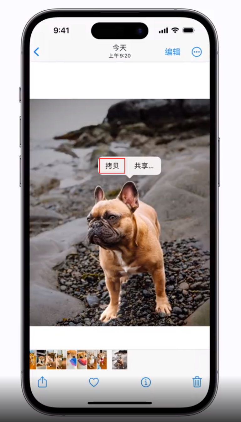 二道苹果手机维修分享 iOS 16 自带一键抠图功能 
